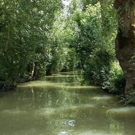 Bed & Breakfast L' Esterlanges Famille 2 4 Personnes Proche Puydufou Saint-Vincent-Sterlanges