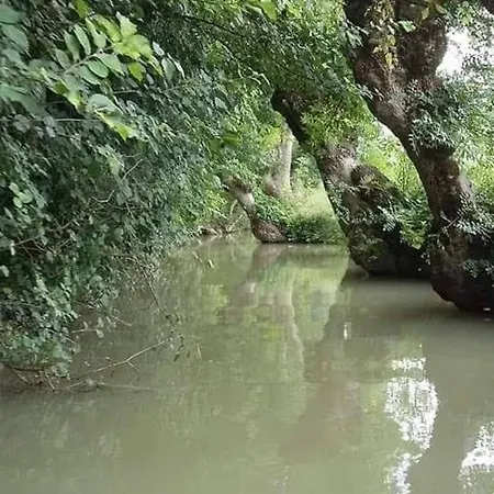 L' Esterlanges Famille 2 4 Personnes Proche Puydufou Bed & Breakfast Saint-Vincent-Sterlanges